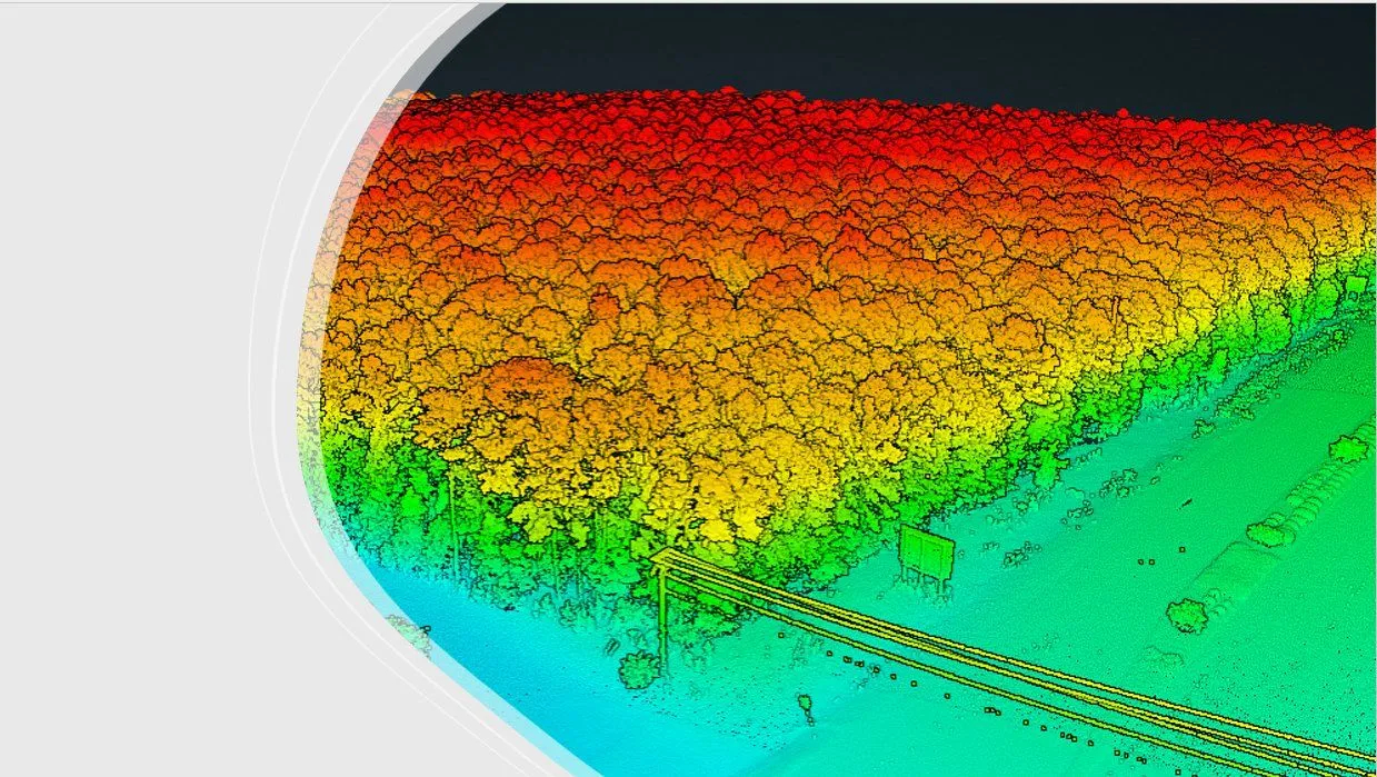 LiDAR point cloud — elevation-colored canopy and vegetation mapping